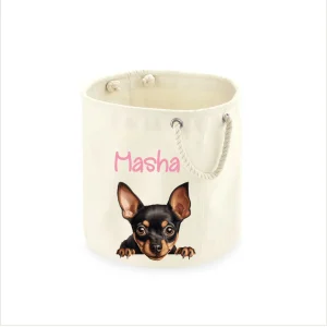 Cesta Porta giochi per Cani Pinscher